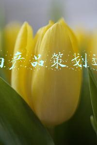 济南产品策划运营