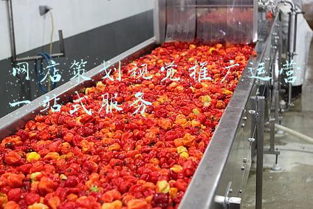 西科大一站式服务平台(西南科大获批成为四川省首批“来华留学示范基地”)