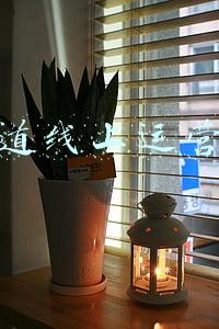普洱茶历史发展线(值得收藏！一文说尽普洱茶的历史发展)