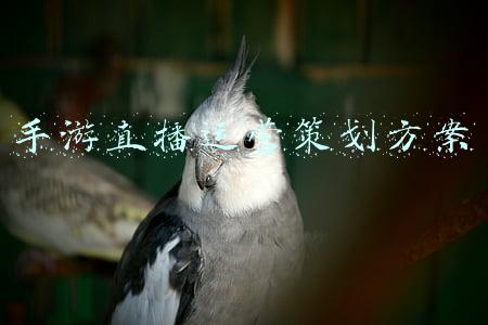 直播活动策划方案(2021直播行业策划方案)