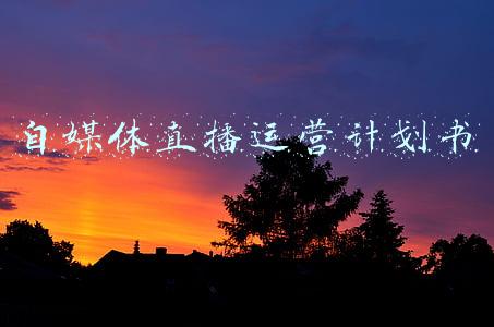 自媒体直播运营计划书