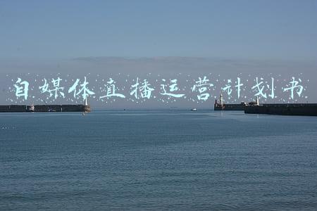 自媒体直播运营计划书