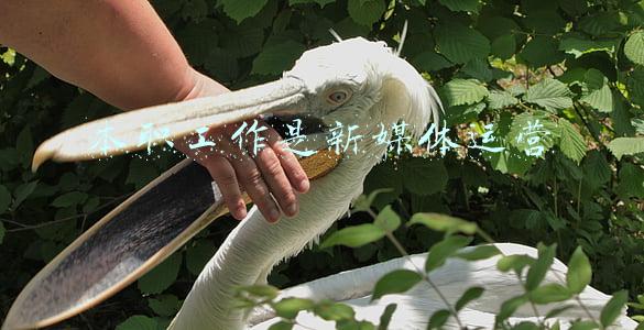 公务员做好本职工作(做好公务员的本职工作)