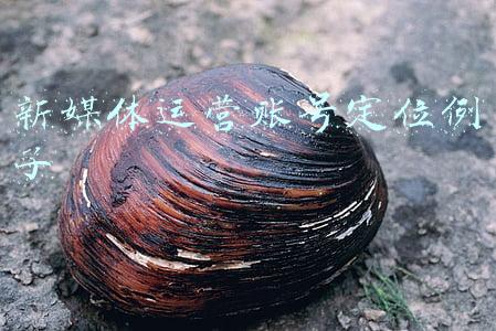新媒体运营成果的例子(90后创业小伙陈克朋：植保无人机放飞大梦想)