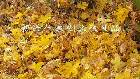 新兴行业创业项目2021农产品(2021年农产品价格预测结果总结，2022年农产品价格展望)