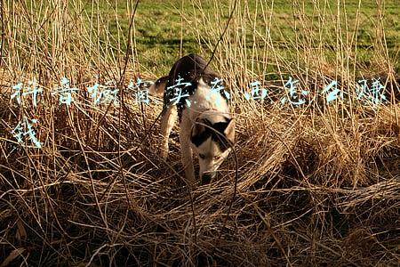 抖音橱窗赚的钱在哪里(宝妈如何利用抖音商品橱窗，月赚10000以上？这里有6条干货给你)