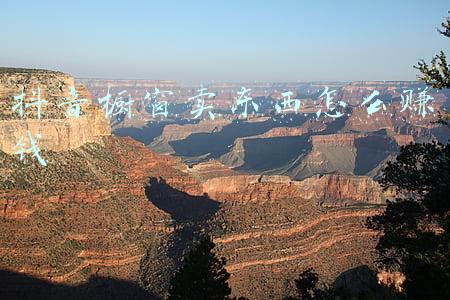 抖音橱窗怎么买东西(怎么在抖音商品橱窗购买想要的商品？)