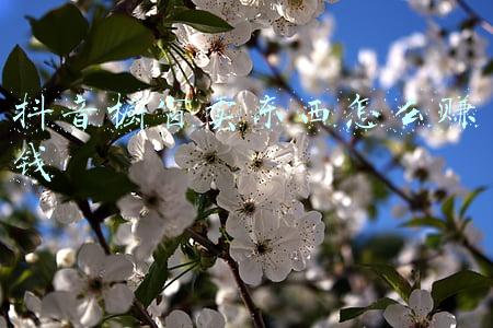 抖音橱窗卖货(一周热卖18.7w单，抖音视频橱窗带货又出爆单新招？)