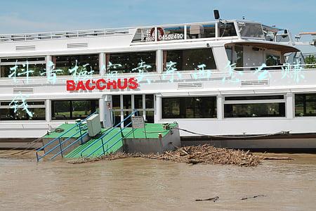 抖音怎么开橱窗卖商品(抖音赚钱方法：教你开通抖音商品橱窗功能，开启你的抖音赚钱之路)