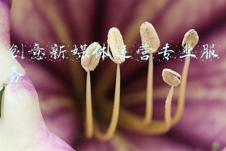 新媒体创意大赛官网(来了来了！第五届检察新媒体创意大赛评选结果揭晓)