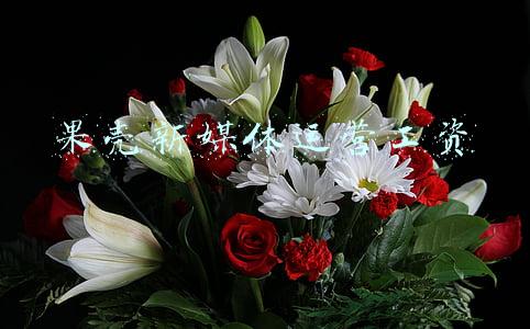 果壳新媒体运营工资