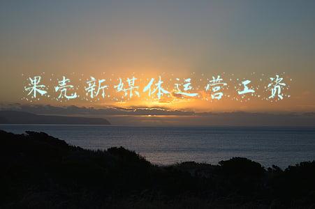 果壳新媒体运营工资