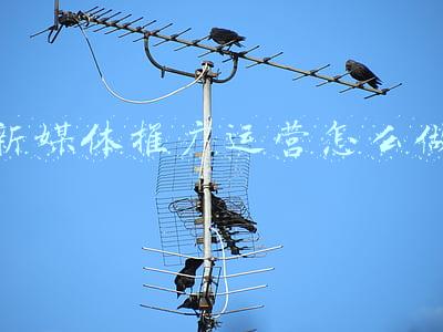 新媒体营销推广方式(如何做新媒体营销推广？这4步就够了，一天粉丝上万不是梦想)