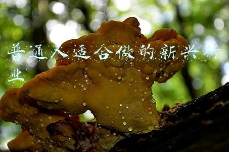 现在有什么行业适合年轻人做(2大行业面临“用工荒”，月薪可达万元，90后不愿干，70后成主流)