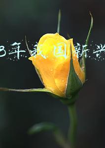 2018年我国新兴行业