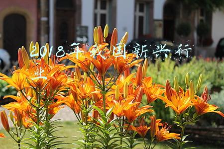 2018年我国新兴行业