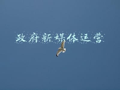 政府新媒体运营工作是什么(安徽发布通报！5个政务新媒体不合格)