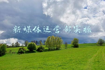 新媒体运营部组织架构(新年大动作！小红书组织架构调整，社区部和电商部将合并)