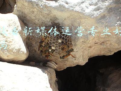读者新媒体运营专业好吗