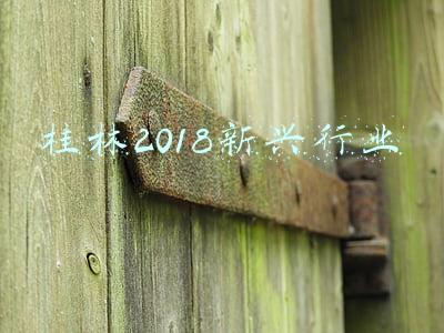 桂林2018新兴行业