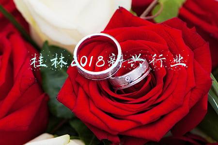 桂林2018新兴行业