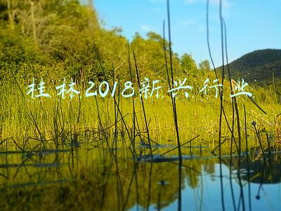 桂林2018新兴行业
