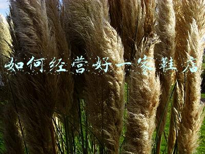 我想开个鞋店,有好的经营方法吗-怎样经营好一个鞋店