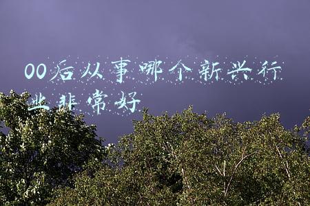 00后从事哪个新兴行业非常好
