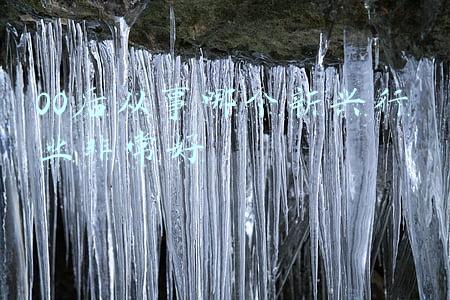 00后从事哪个新兴行业非常好