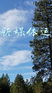 毕业不要做新媒体运营(逃离工厂！超六成受访职业院校学生毕业后不愿选择当“蓝领”)