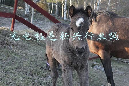 充电桩行业排名(充电桩行业受资本追逐 造车新势力占据排行前五名)