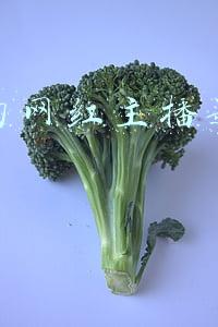 抖音的网红主播是怎样赚钱
