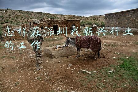 怎样在深圳找新兴行业的工作