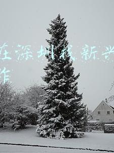深圳新兴产业(深圳市政协年度优秀提案（一）：抓住“碳中和”新兴产业风口)