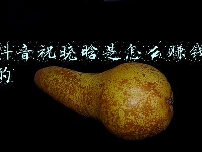 抖音祝晓晗是怎么赚钱的