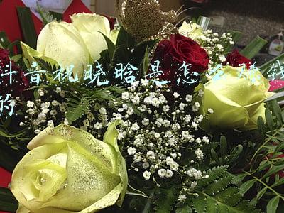 抖音祝晓晗是怎么赚钱的