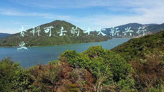 专科可去的十大新兴行业