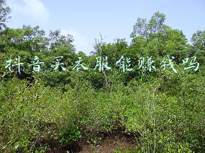 抖音买衣服靠谱吗(买衣服出现质量问题需在线理赔？这种电信诈骗让人很容易上当)