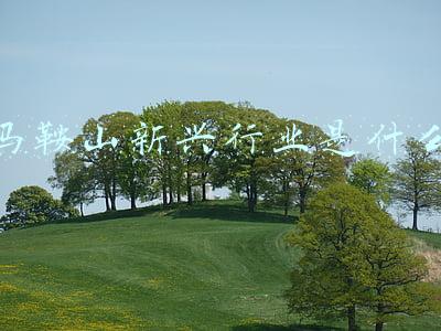 马鞍山新兴行业是什么