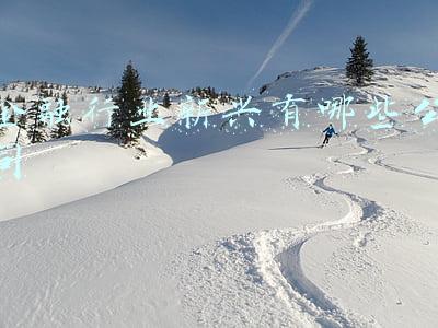 金融行业新兴有哪些公司