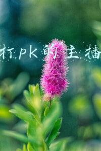 抖音打pk的震撼音乐(衣哥与林先生抖音PK精彩刺激，惩罚厉害搞笑)