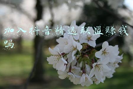 抖音精选联盟入驻费用(抖音小店保证金是多少？产品怎么加入精选联盟？)