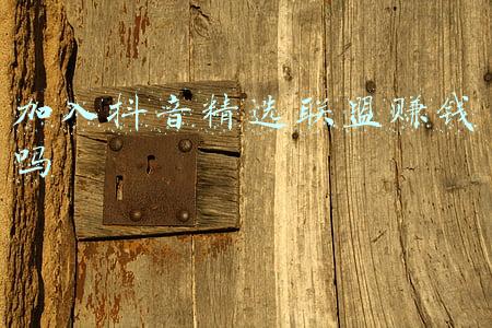 抖音精选联盟平台怎么开通多少钱(精选联盟是怎么开通的？抖音小店)
