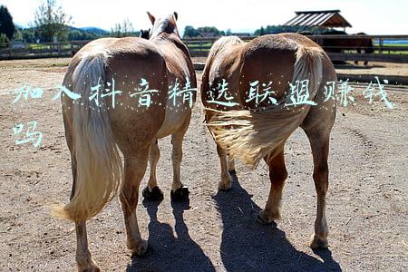 抖音精选联盟怎么样(抖音精选联盟是什么？抖音精选联盟怎么加入？)