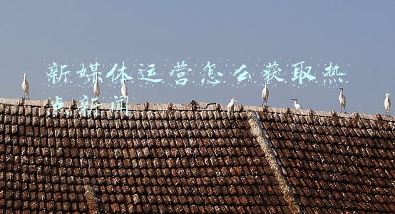 新媒体管家热点中心(做自媒体常用的网站和工具)