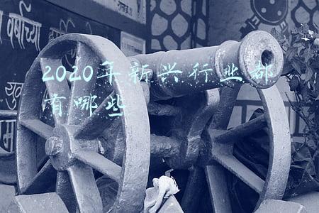 2020年新兴的职业有哪些(钱多更幸福吗？高薪且幸福感强的专业有这10个)
