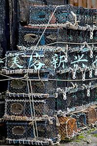 汽车美容行业前景(汽车美容从入门到精通难不难，行业前景又如何呢)