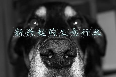 新兴起的生意行业 新兴起的生意行业
