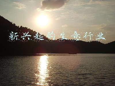 新兴起的生意行业 新兴起的生意行业