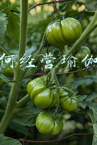 瑜伽馆经营管理策划书：瑜伽馆经营